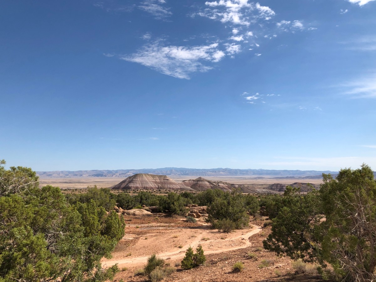 Day 19 – Black Dragon&nbsp;Wash